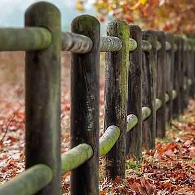 Blog wp dummy content generator 4373.jpg